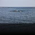 Comen Cup 2009 024
